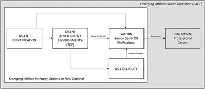 Emerging athletes’ career transitions in professional sport: an existential multi-case perspective